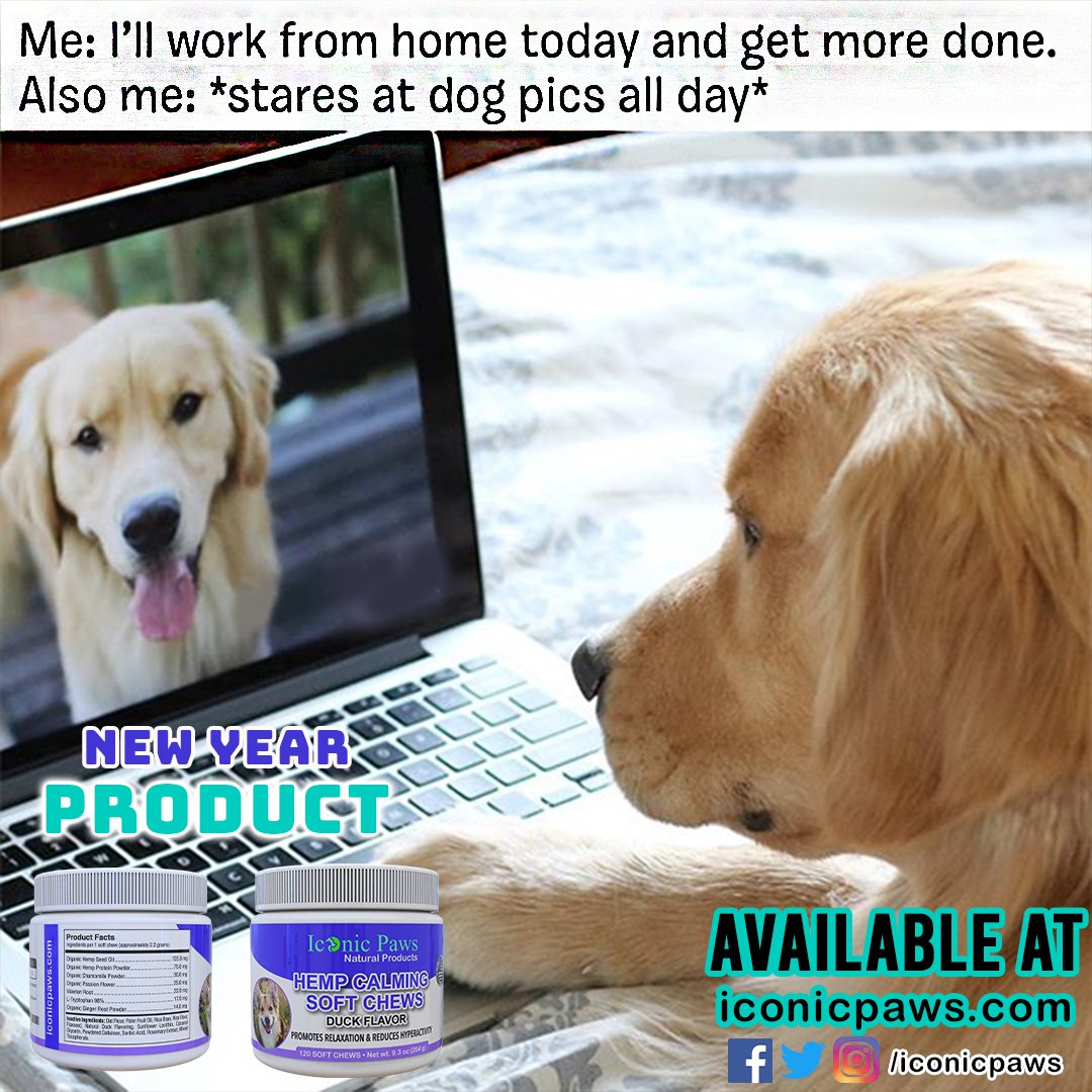 IconicPaws's tweet photo. Do you do this? 😂

Follow @iconicpaws for more awesome dog posts and products

Visit 👉🏻 https://t.co/lRVOptX2Mh for healthy dog products ❤

#dog #dogfood #dogmeme #dogmememes #dogfunny #ilovedogs #doglover #doglovers #dogslovers #dogslover https://t.co/ODSIqWTDhC