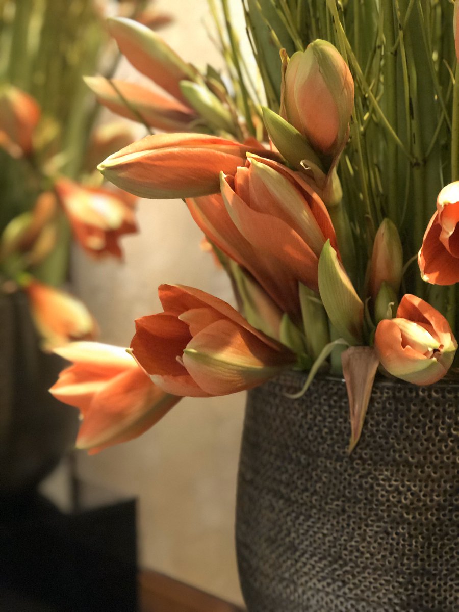 Love come in many colours and shapes - Try to do things in a different way and see what happens . Sometimes things goes really well but as in life . Don’t get disappointed if not -:)) Then it’s just up on the horse again and of you go to next project .......
<a href="/taj51bg/">Taj 51 Buckingham Gate Suites and Residences</a> <a href="/academy_k2/">K2 Academy of Contemporary Jewellery</a>