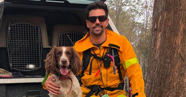 Dogs helping save koalas from Australian bushfires doggiescare.com/dogs-helping-s…