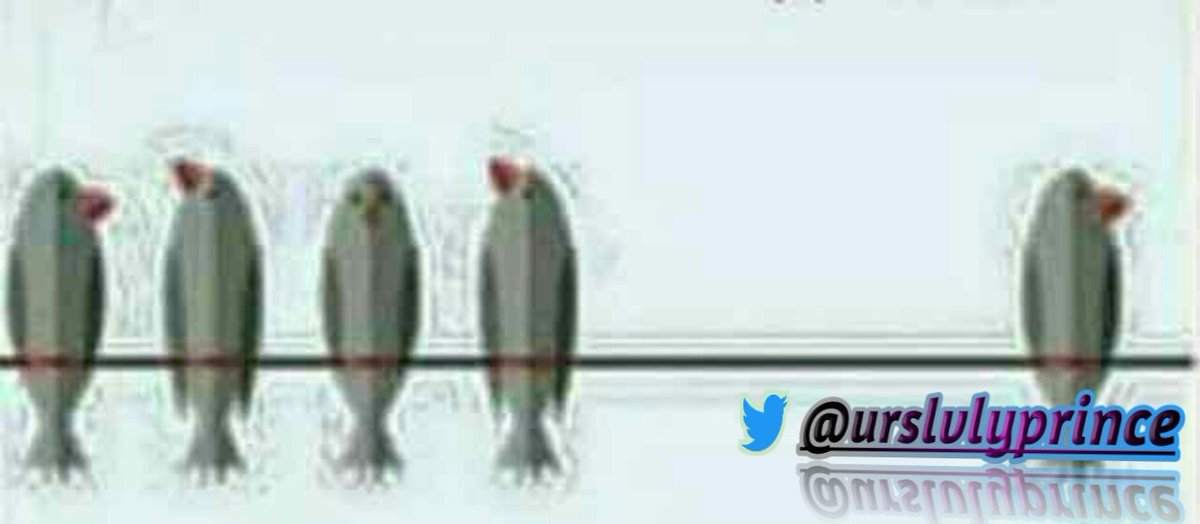 urslvlyprince's tweet image. பத்தோடு பதினொன்றாக இருப்பதை விட
கெத்தோடு தனியாக இருப்பதே மேல்...