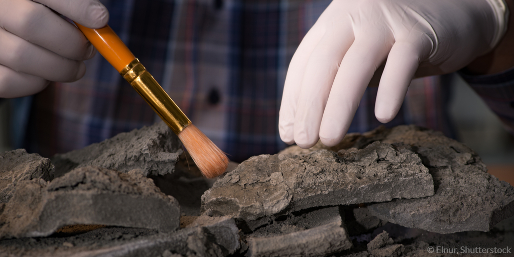 EU Research Results tweet media