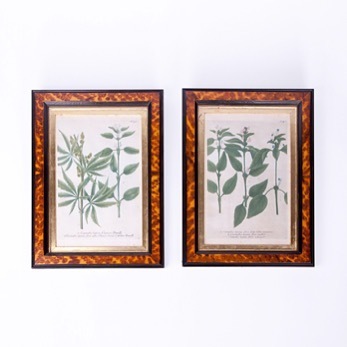 OSullAntiquesNY's tweet photo. 19th Century pair of botanical prints depicting cannabis plants in faux tortoiseshell frames, circa 1880.
Link in bio and currently on view now at our showroom at O'Sullivan Antiques, 43-44 Francis St. Dublin 8, Ireland.
#antique #interior #interiorsty… https://t.co/lCU65Upqix https://t.co/XqjpLO27q7