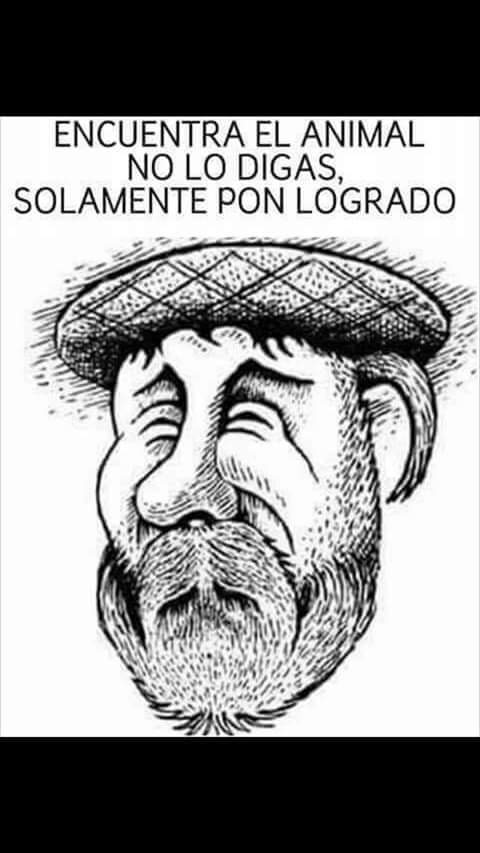 tamara_2727_'s tweet photo. Encuentra el animal......🤭 https://t.co/alkHM6rzTZ