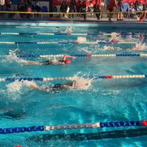 Round 1 of the Club Championships today was an opportunity for the SSS family to come together in the spirit of friendly competitive swimming. ▪▪▪▪▪
Many experienced their first competition today, with many hoping to break a club record or two instagram.com/p/B7bHgrbph_L/