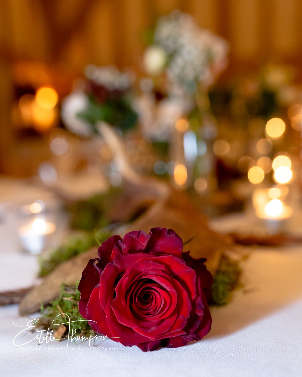 frasersegerton's tweet photo. Valentine's Day at Frasers. Join us on Friday 14th February and enjoy our delicious 'Signature 7 Course Tasting Meal' only £100.00 per couple. #loveisintheair #treatalovedone #Roses_Are_Red https://t.co/Oh2jZqVuTk