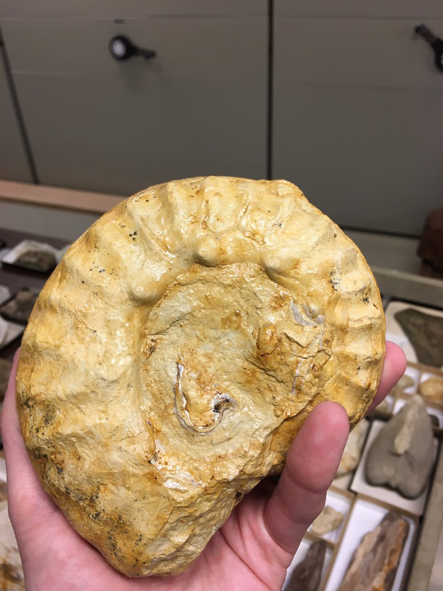 Alex Hastings tweet media