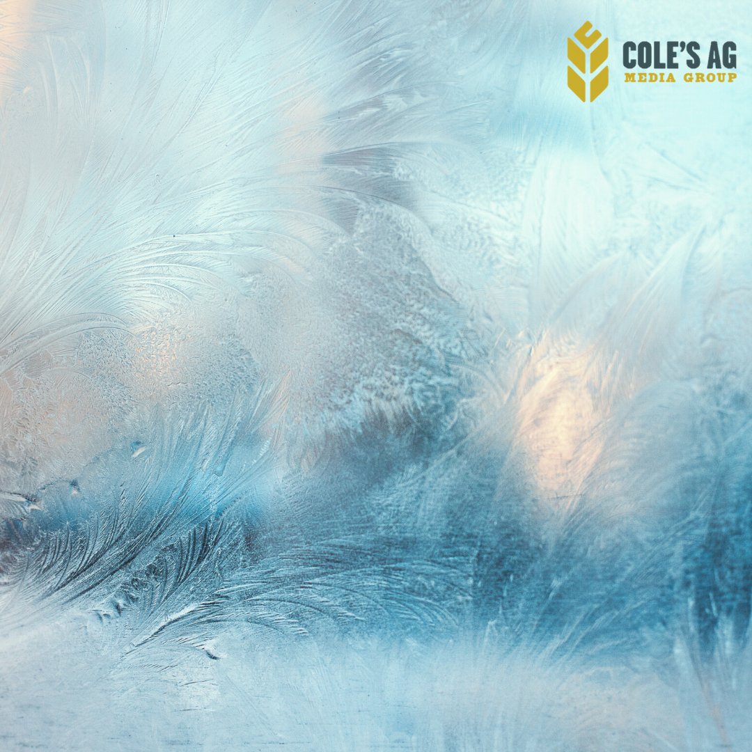 colesagmedia's tweet photo. Do you want to get front of your audience and grow your agri-business without having to leave your house when it's -30 out? 

Contact us today to get engaging media content to tell your story and #brandyourfarm https://t.co/TrFZZduesk