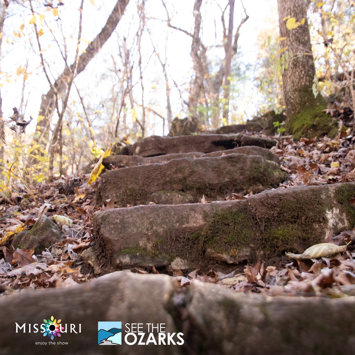 See The Ozarks tweet media