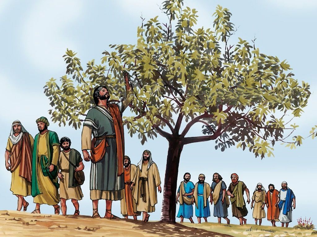 1XIVblog's tweet photo. What prompted Jesus to Curse the Fig tree? https://t.co/H1hMcef9fr https://t.co/mWi67Ok7SF