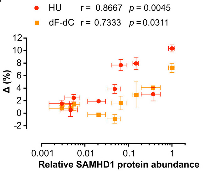 And furthermore, if you take a panel of cell lines and run ara-C vs RNRi in cell killing assays, the synergy observed between these two drugs correlates significantly with SAMHD1 abundance - more SAMHD1 more synergy and no SAMHD1 no synergy