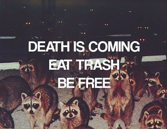"Death is coming eat trash be free" racoons.