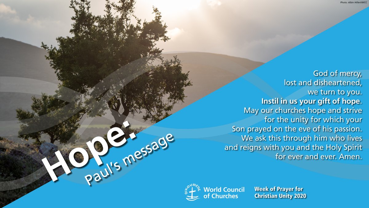 Oikoumene's tweet photo. On the 3rd day of the Week of Prayer for #ChristianUnity we pray for hope🌱:
🙏🙏🏼🙏🏾🙏🏿💒🙏🏿🙏🏾🙏🏼🙏
God of mercy,
lost and disheartened, we turn to you.
Instil in us your gift of hope…
https://t.co/RvLENTLKt1
#WCC #WPCU2020 https://t.co/CVGTUDrZ13