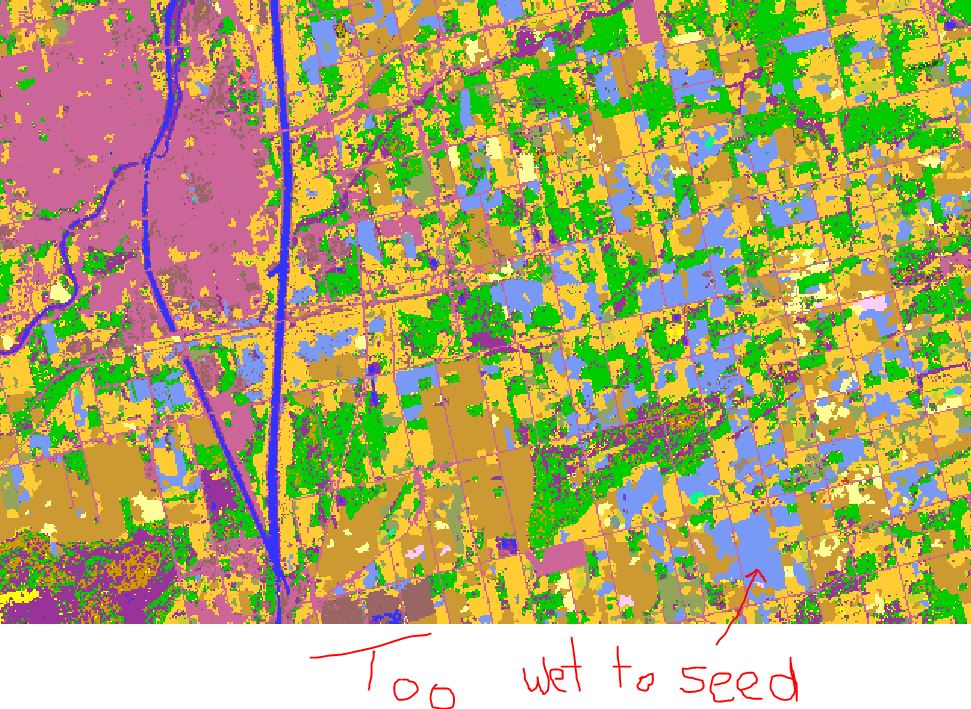 LeanderCampbell's tweet photo. 1st look at #cropmap19 of #ontag. Of note for 2019 a very wet plant season in the south resulted in many acres classed 'Too Wet to Seed' by our system. Zoom-in of Welland region to show it was not contiguous between fields. Grey map to show patchy distribution across the province https://t.co/NRYYHjx4Uc
