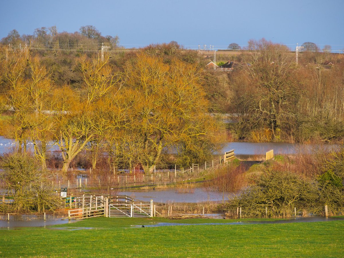 GillPrincePhoto's tweet photo. Well, @AndyLingwood wasn’t wrong about the #FloodplainForest Nature Reserve living up to its name at the moment 😊 Looks great, just wish I could get closer! @TheParksTrust @scenesfromMK @DestinationMK @LivinginMK @StormHour @EarthandClouds @ThePhotoHour #GoodToBeBack #LoveMK https://t.co/Me10EPTDqh