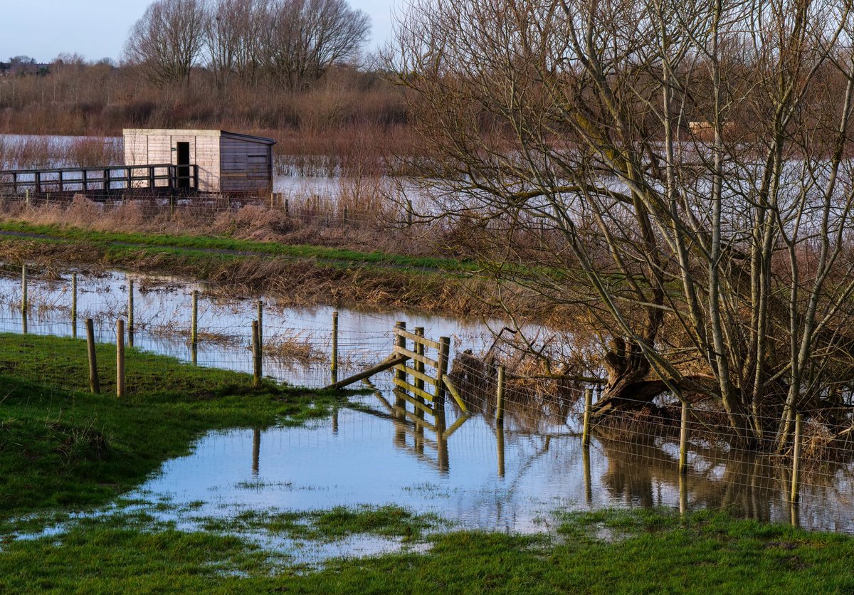 GillPrincePhoto's tweet photo. Well, @AndyLingwood wasn’t wrong about the #FloodplainForest Nature Reserve living up to its name at the moment 😊 Looks great, just wish I could get closer! @TheParksTrust @scenesfromMK @DestinationMK @LivinginMK @StormHour @EarthandClouds @ThePhotoHour #GoodToBeBack #LoveMK https://t.co/Me10EPTDqh