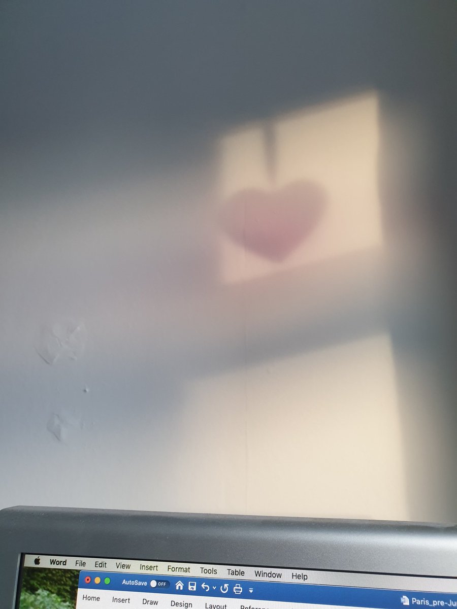 content_covered's tweet photo. @CuriousScutter Hi Jack, I like the shadows on my wall when the sun shines. Hope your event goes as you would hope. https://t.co/iDXL05e5Dg