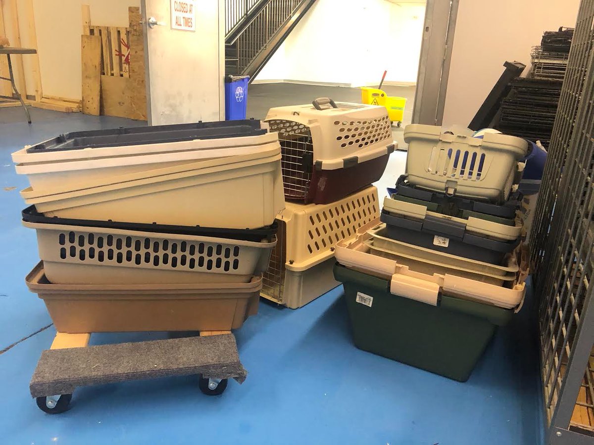 ARFAlberta's tweet photo. Huge thanks to @pause4change for donating 15 small and medium crates that will help our dogs and cats find their furever homes. We appreciate the generous donation from a fellow rescue and are so grateful for the support and collaboration. ❤️ https://t.co/8hXe9SeyRQ
