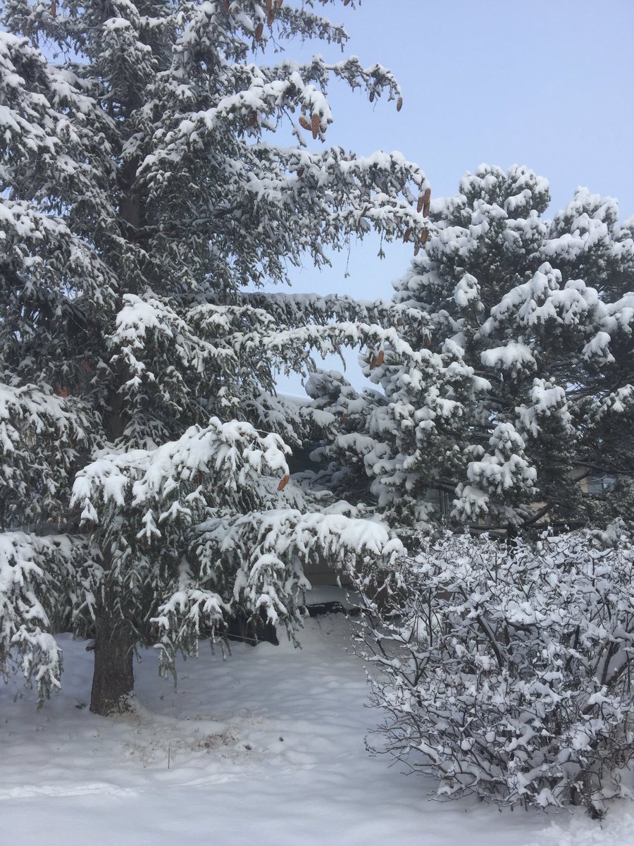 sewing_sixties's tweet photo. Pacing myself while digging out from snow today!  This is New Mexico. https://t.co/bJffVZNBEP