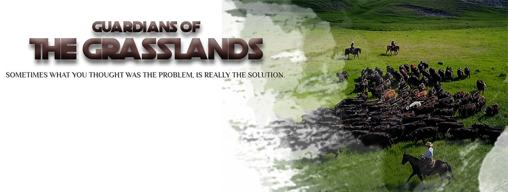 Livestock & Forage Centre of Excellence tweet media