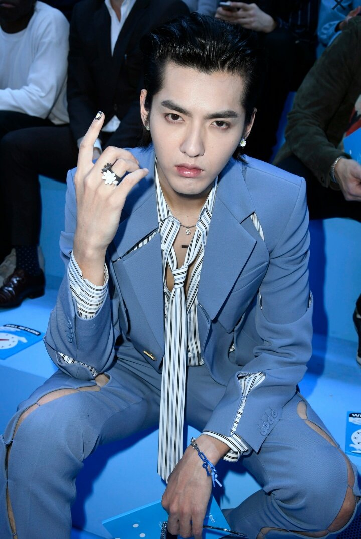 KrisWuPakistan-20XXSoar on X: Front row at Louis Vuitton Men's Fall 2020  @KrisWu sitting with Bella Hadid, CEO of Rimowa, Alexandre Arnault,  Frederic Arnault and Bernard Arnault. Cr. wwd 🔗:   #KrisWu #KrisWuLV #