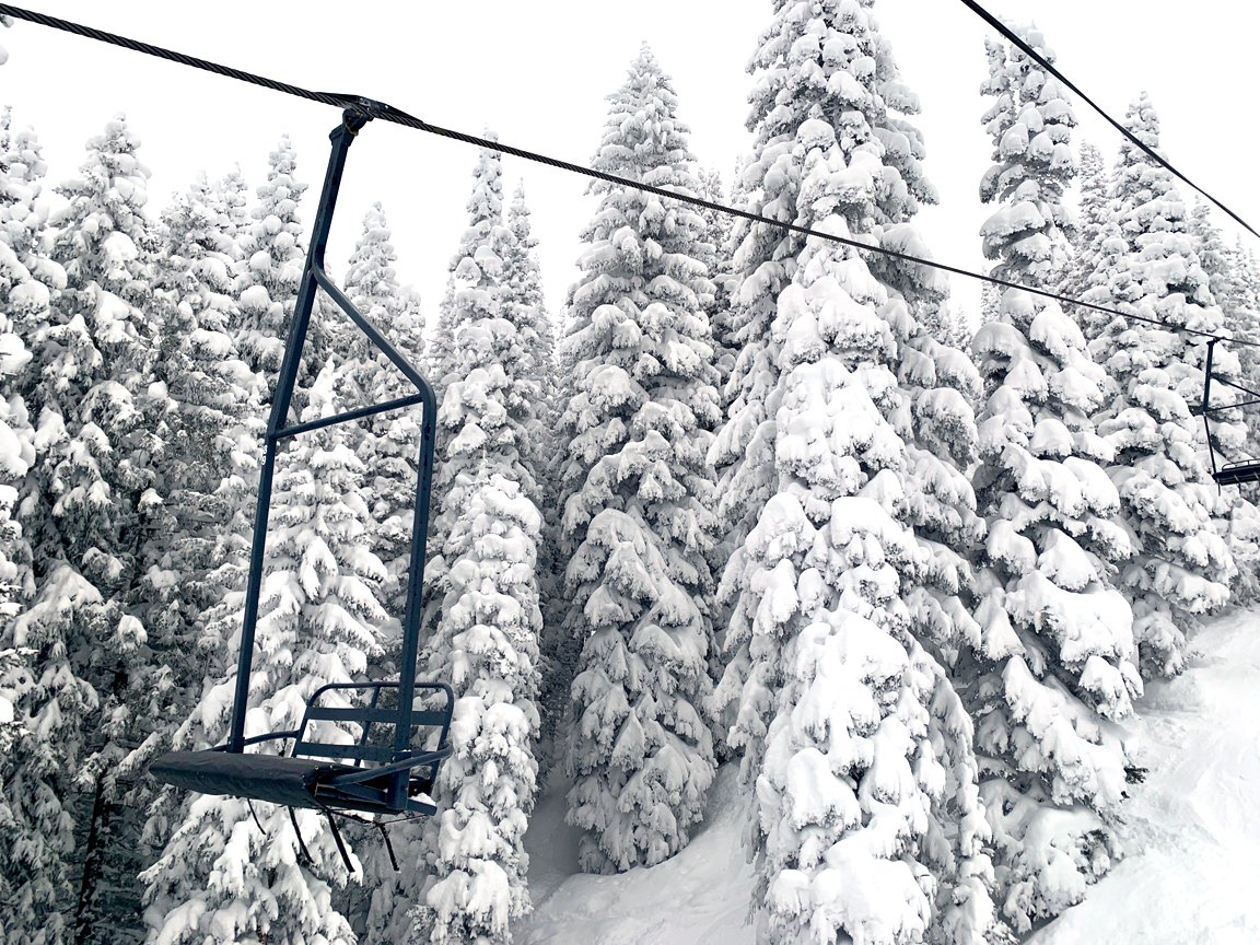 The venerable Bar-UE chair... full on color in glorious shades of wintery black and white. Keep it coming Old Man Winter... make yourself at home in Steamboat Springs!