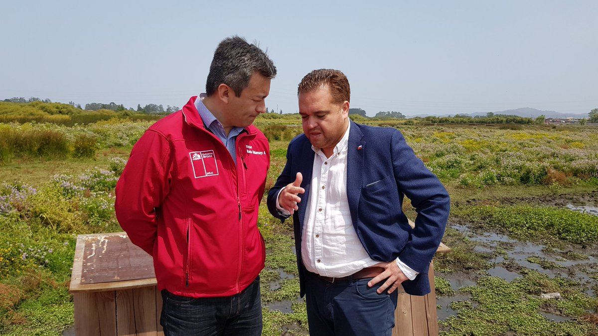 mmabiobio's tweet photo. ¡ESTAMOS FELICES! 😍 Hoy el Consejo de Ministros por la Sustentabilidad aprobó el Santuario de la Naturaleza Laguna Grande Humedal Los Batros 👏. Seguimos haciendo esfuerzos para que nuestra región incremente la superficie protegida y seguir siendo sustentables. #VamosBiobío https://t.co/IolaW6V40v