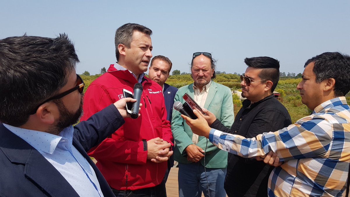mmabiobio's tweet photo. ¡ESTAMOS FELICES! 😍 Hoy el Consejo de Ministros por la Sustentabilidad aprobó el Santuario de la Naturaleza Laguna Grande Humedal Los Batros 👏. Seguimos haciendo esfuerzos para que nuestra región incremente la superficie protegida y seguir siendo sustentables. #VamosBiobío https://t.co/IolaW6V40v