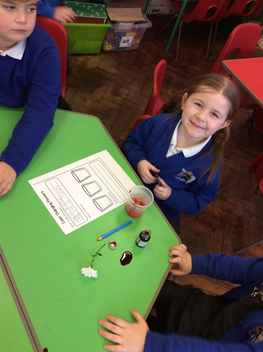 MissCorbett11's tweet photo. Fab Fridays continued this week as we carried on learning a dance, French colours, designing & building our own vehicles, experimenting with flowers, decorating biscuits and going on a senses walk @GilbertInfant #widercurriculum #goingforgold #clt3 https://t.co/bgG0yKHmww