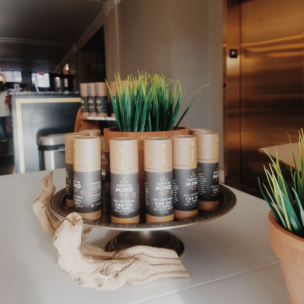 HotelSaranac's tweet photo. Come explore a vibrant indoor market at the @SaranacLake #WinterFarmersMarket! We're hosting local vendors with some of the best local products on Saturday from 10-2. Stop by #CampfireADK for breakfast, then enjoy a stroll through the Arcade! #hotsara  https://t.co/HTO05uvipN https://t.co/fob52anwKm