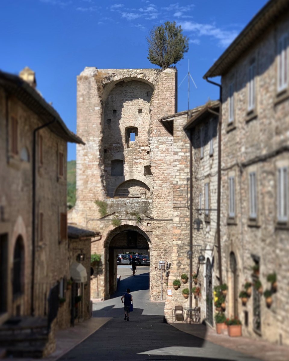 Art Workshop Intl tweet media