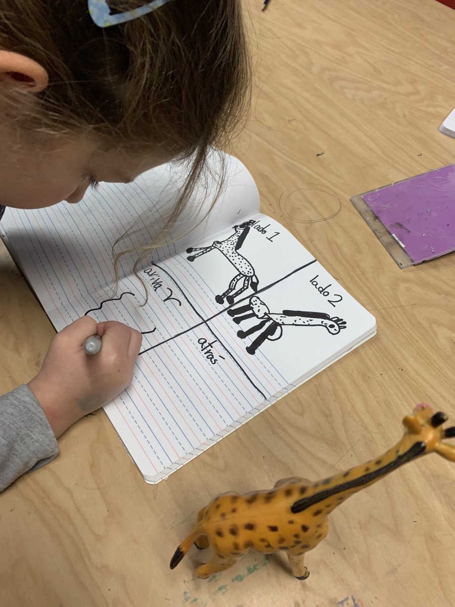 cutelisart's tweet image. Getting ready to make our animal habitas but first how does e draw animals from different points of view! #scienceconnection #apsarts #artsed #habitat