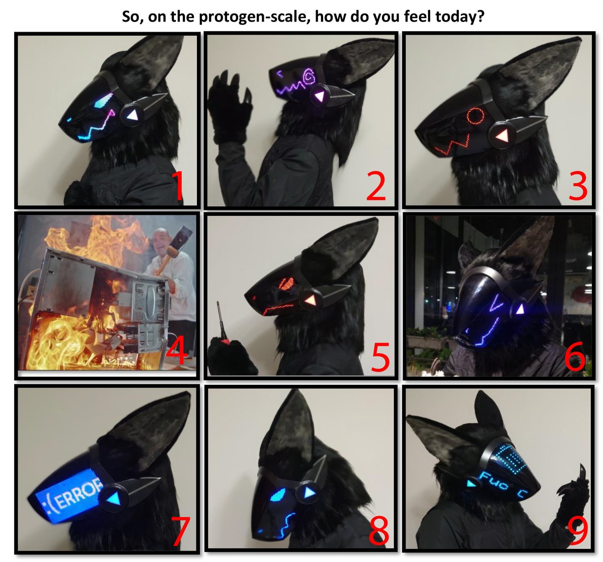 Expensive Black Cheese I M Feeling A Bit 4 And 5 Fursuitfriday Protogen Memes