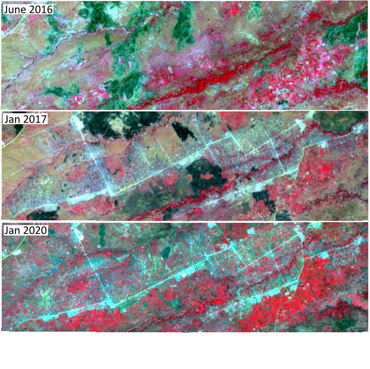 AerialAgri's tweet photo. NIR satellite imagery of Bidi Bidi in North West Uganda. In 2016 thousands of refugees fled war torn South Sudan establishing a significant camp in rural Uganda during a period of drought. Today Bidi Bidi accommodates a quarter million people same population as Galway Co. https://t.co/a3ker7aScx