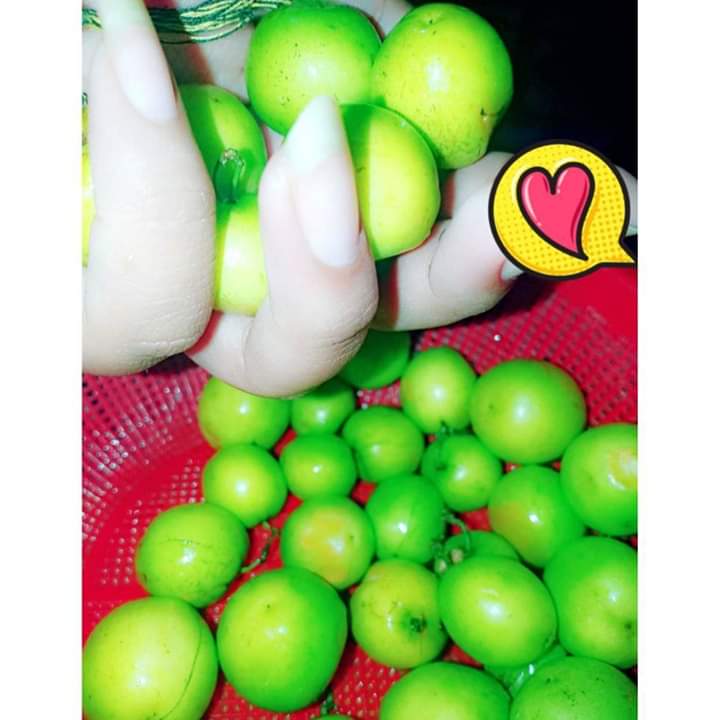 Zarin3426's tweet photo. টক বড়ই 😋😋🥰🥰 https://t.co/2Ly0LClLyd