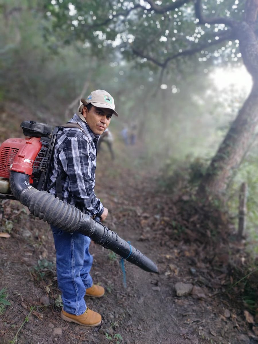 CONAPgt's tweet image. #ConapOriente
Personal técnico y guardarrecursos brindan mantenimiento a brechas #CortaFuego ya que reducen su propagación y en consecuencia minimiza considerablemente los daños a la vegetación, así mismo sirven para establecer estrategias para el control de #IncendiosForestales.