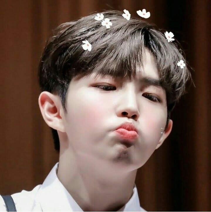✧* ･ﾟ♡day 17 〈jan 17th〉you haven’t posted in a while so I’ve had to dig into my jaehwan pics collection but that’s fine I don’t want you to overwork yourself but I hope you have a wonderful night and I love you so so so much 