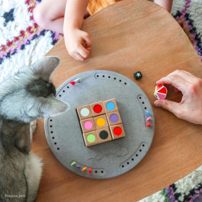 dansletransat's tweet photo. Découvrez Star Master  🎲 Un jeu de société 100 % Made in France 🇲🇫 qui vous fera travailler votre mémoire 🧠 Ludique et amusant, passez de bons moments en famille ou entre amis avec Star Master ! 👨‍👩‍👧‍👦 

En savoir plus ici 👉 https://t.co/o6C3KSaI5K https://t.co/G3oJR7C5kK