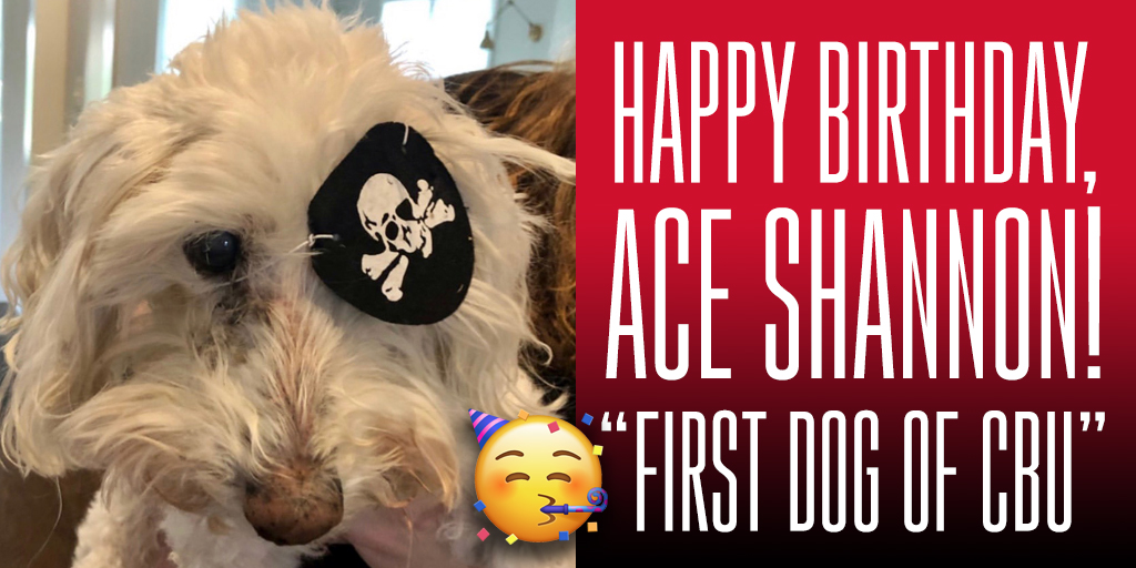 FromCBU's tweet photo. Happy 18th Birthday to the "First Dog of CBU"!!!🎈🎉🎁🎂🎊🎉 https://t.co/BQzmlU9HIj