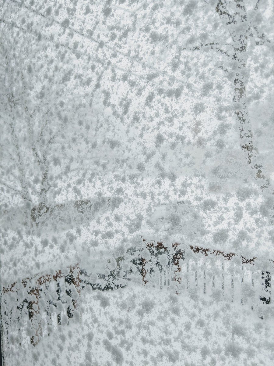 Who are those providing shelter for those who are homeless? Thank-you to you. Can't bear to think any may be outdoors right now in #snowmaggedon2020.