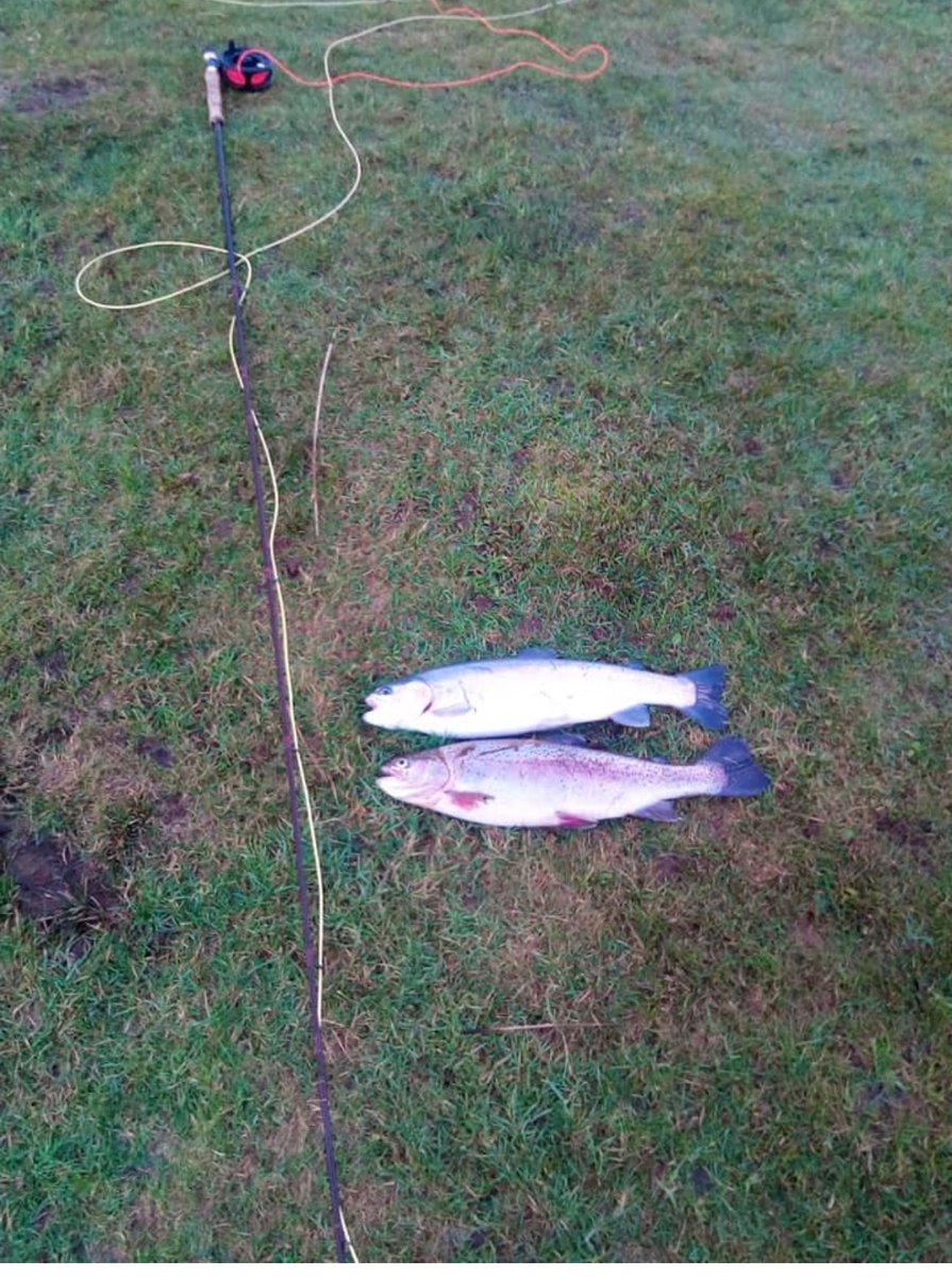 Skelmorlie Fishery 🏴 tweet media