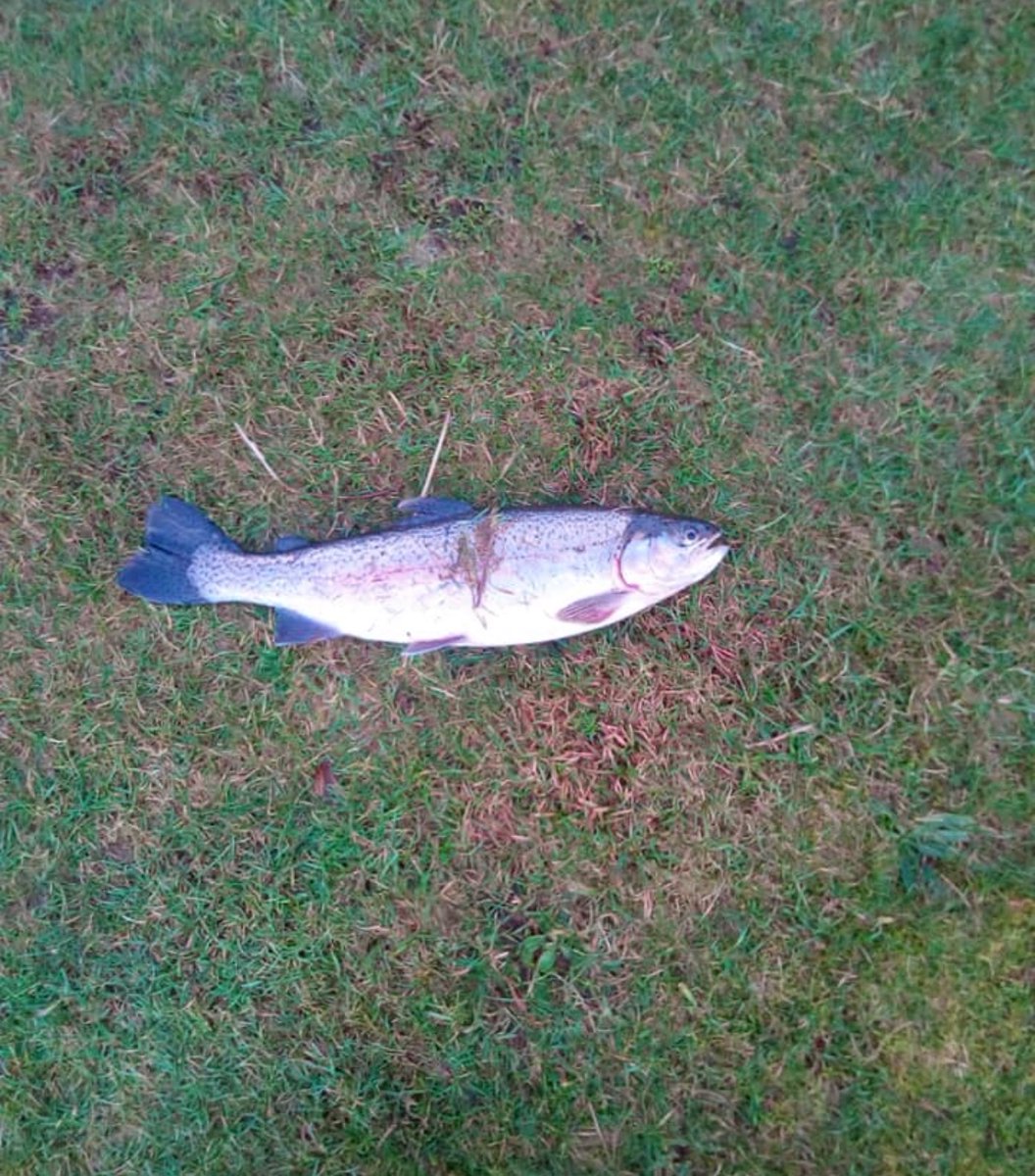 Skelmorlie Fishery 🏴 tweet media