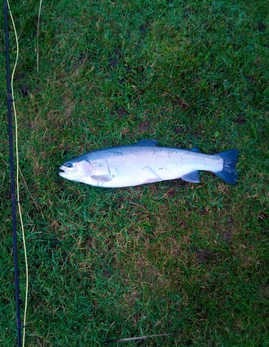 Skelmorlie Fishery 🏴 tweet media