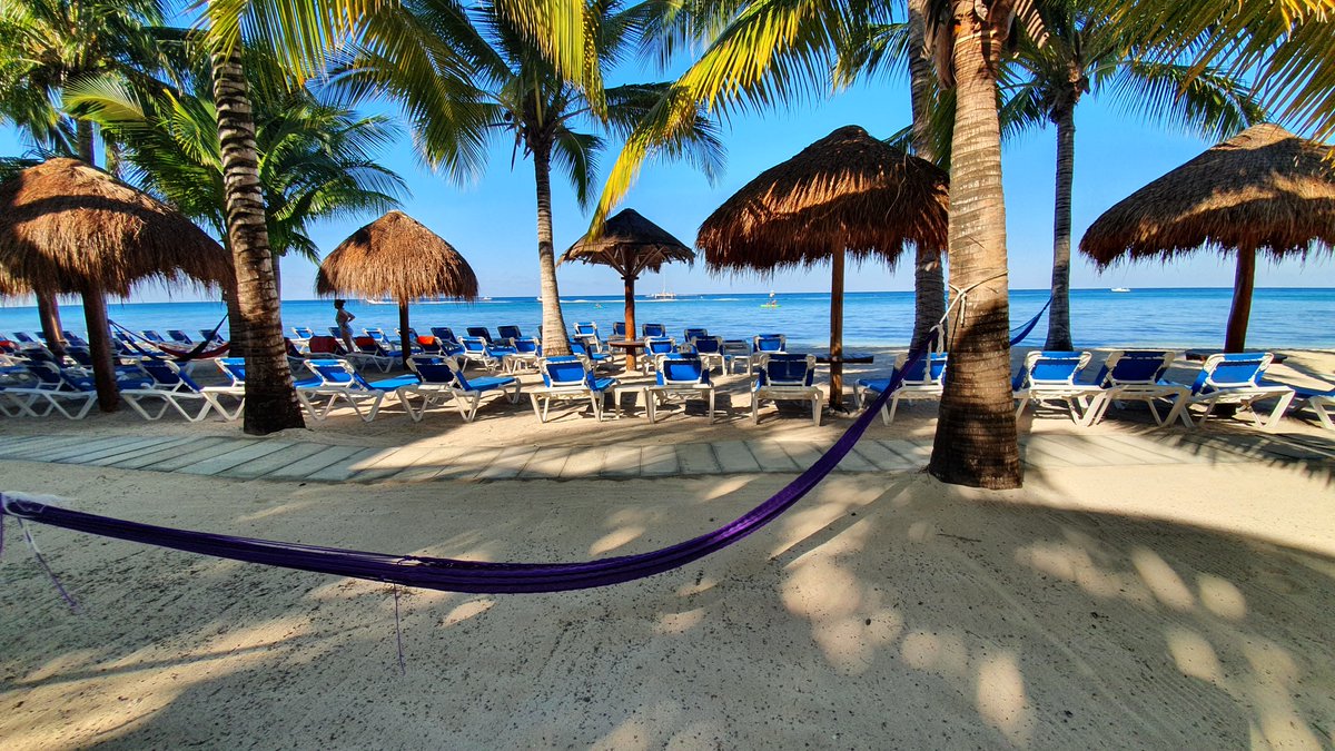 Sunscape Sabor tweet media