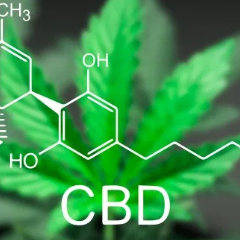 JessiesBranch's tweet photo. Here are some blogs from our website about CBD!
https://t.co/UYl0siPkju
.
.
.
#knowledge #CBD #blogs https://t.co/8hCRSnO8eU
