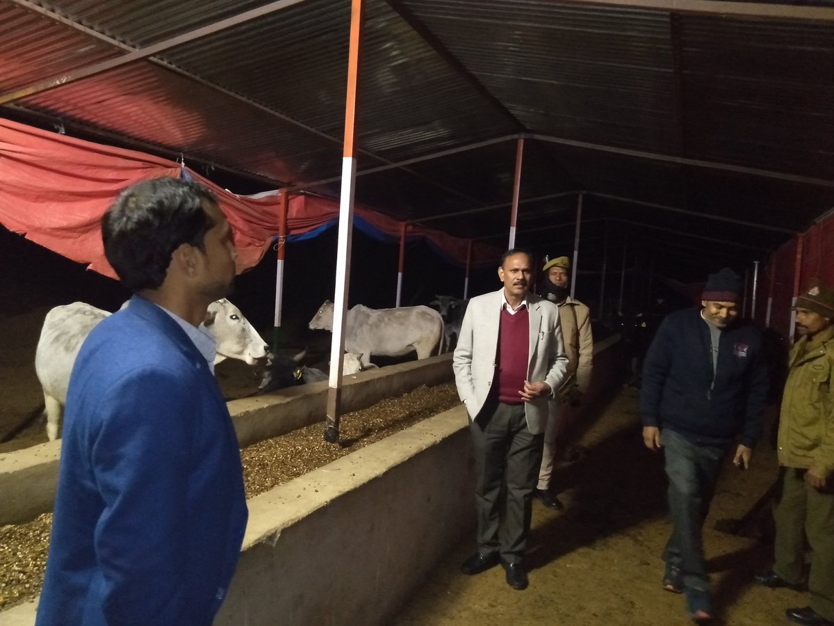 गो आश्रय स्थल नगला देवी का निरीक्षण