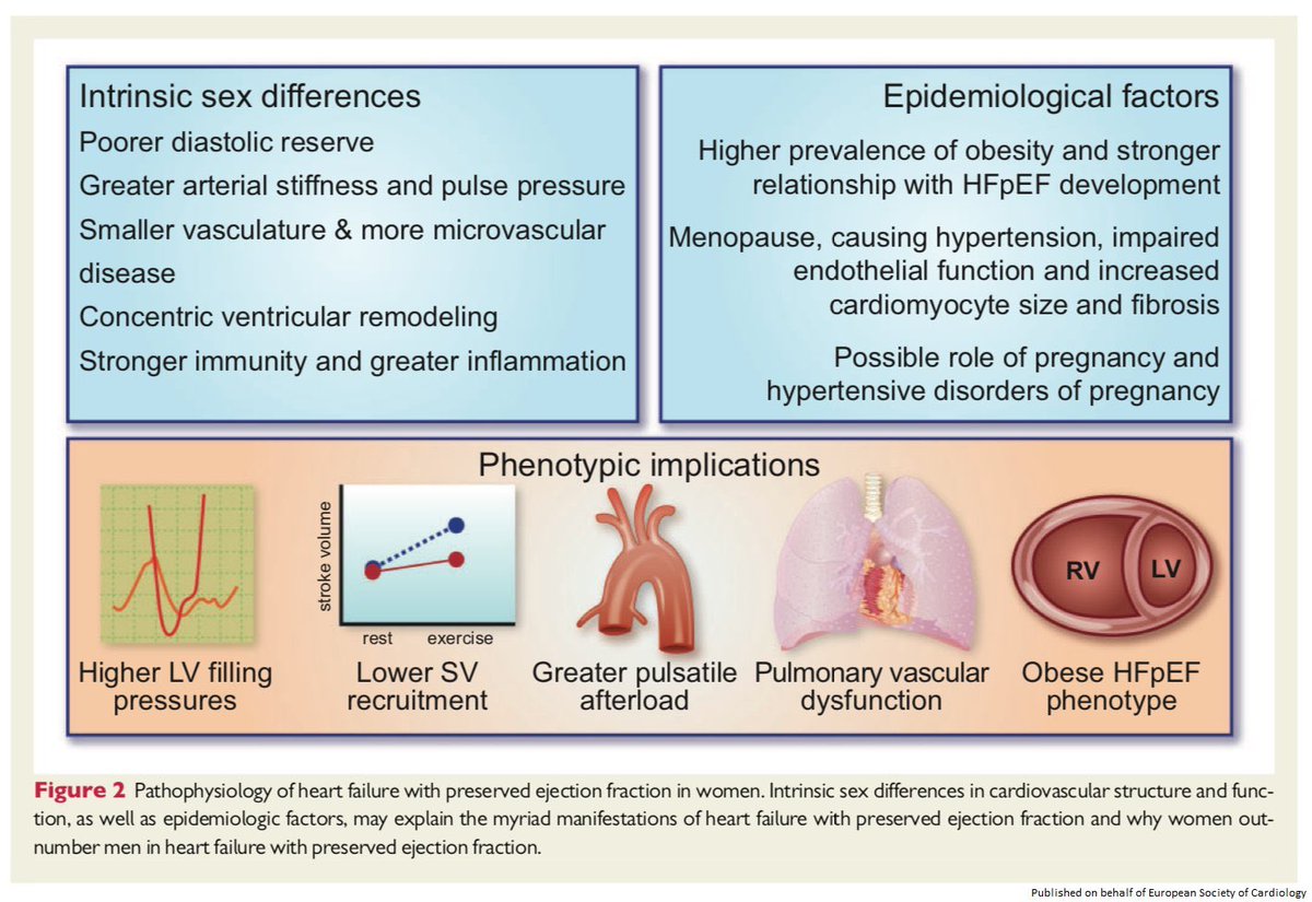 AnmolMD's tweet photo. We have seen in #YYC community that fewer females are getting referred to Heart Failure clinic vs male patients. Whatever are the reason, we need to do more work to raise awareness and reduce this disparity. Sex differences in heartfailure https://t.co/IlU3TfkszD #DilWalk #ableg https://t.co/K1F3ZF5YX7