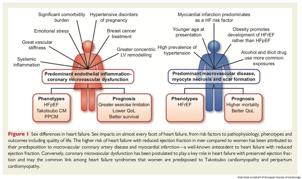 AnmolMD's tweet photo. We have seen in #YYC community that fewer females are getting referred to Heart Failure clinic vs male patients. Whatever are the reason, we need to do more work to raise awareness and reduce this disparity. Sex differences in heartfailure https://t.co/IlU3TfkszD #DilWalk #ableg https://t.co/K1F3ZF5YX7