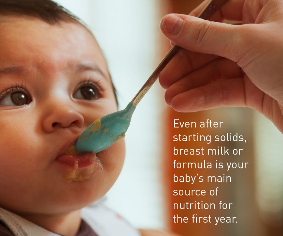ClintonCountyHD's tweet photo. When your #baby starts solids at around 6 months, the servings are like taste tests—not full meals. #Questions about how much your baby is eating or what to feed them? Ask your #WIC nutritionist! #firsttastes #momstrong https://t.co/SUypP6jNu4