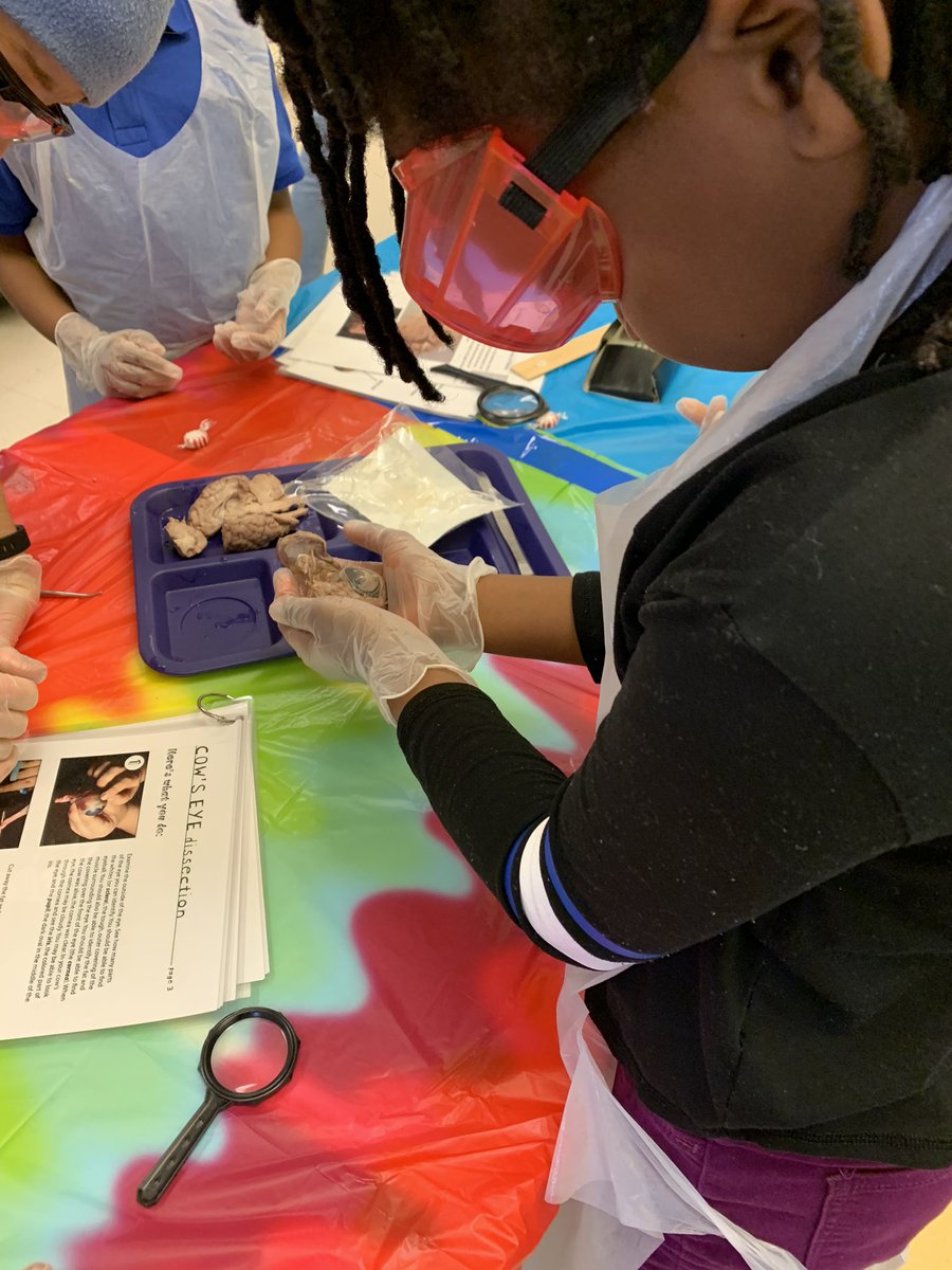 Gifted students from Panter and Poole Elementary <a href="/pauldingboe/">Paulding County School District</a> were really using their “brains” today. @taracole2317