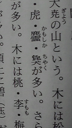 「ちゃく」は、なんか字がおもしろいからすきな獣です 